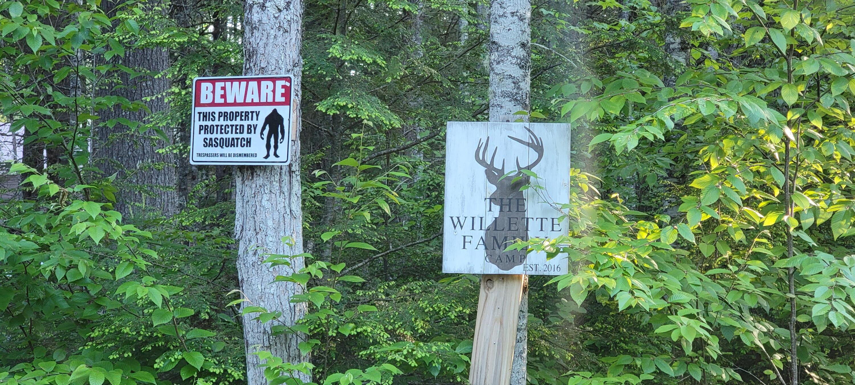 Lot 12 Little Stream Road Lincoln, ME 04457 - Photo 36 of 36 20220606_185523