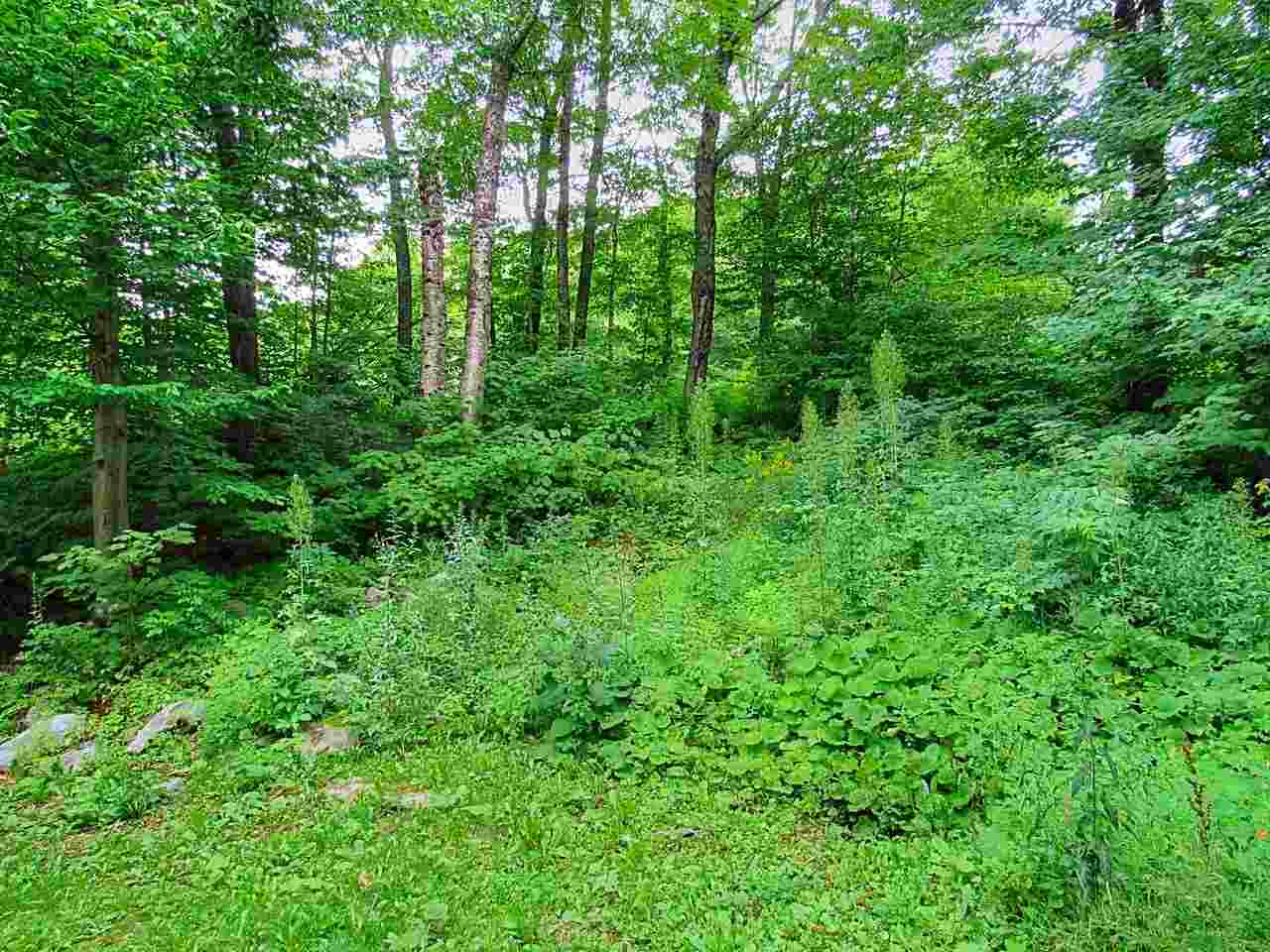 333 Wentworth Road Bolton, VT 05477 - Photo 2 of 25 Gallery Image 2