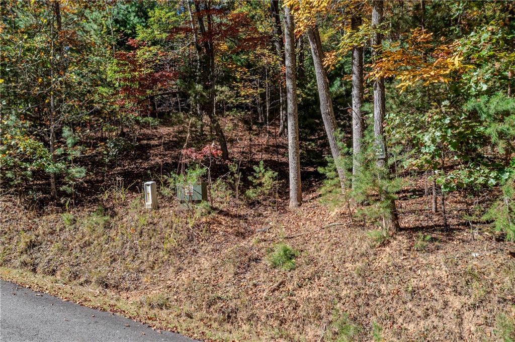 Lot 22 Meadow Brook Trail Morganton, GA 30560 - Photo 11 of 51 a view of a yard with plants and large trees