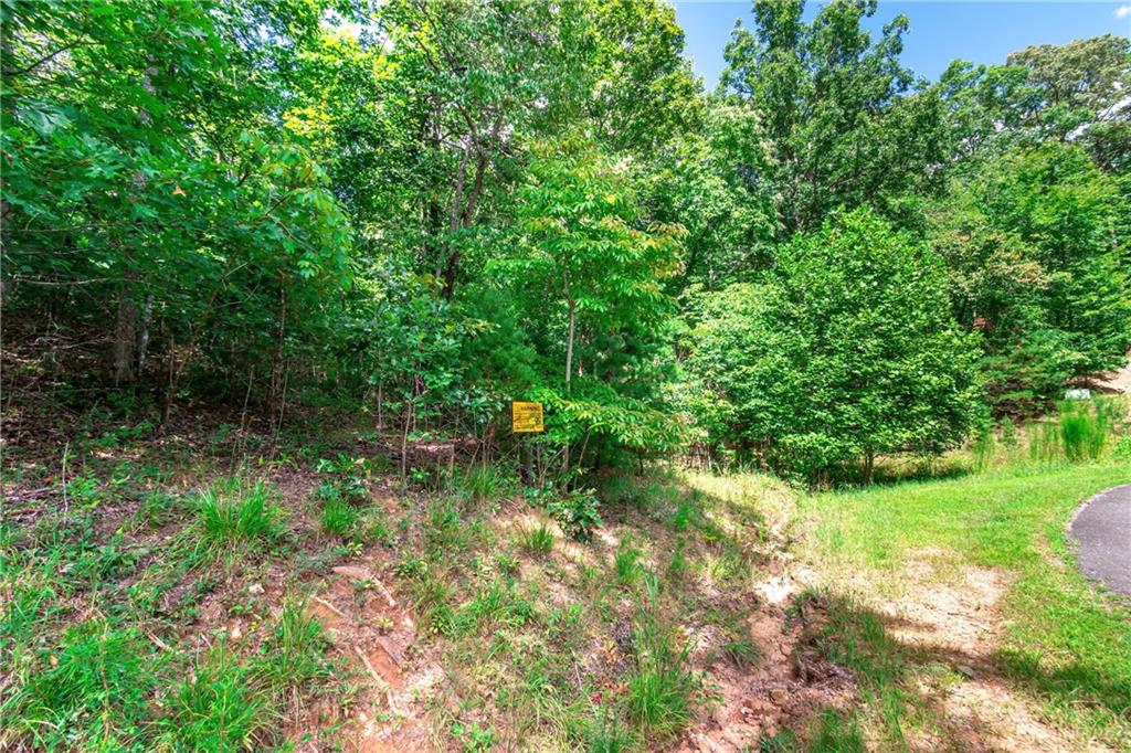 Lot 22 Meadow Brook Trail Morganton, GA 30560 - Photo 16 of 51 a view of a garden with plants and large trees