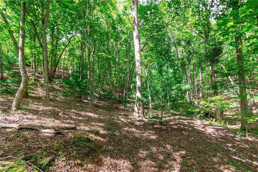 Lot 22 Meadow Brook Trail Morganton, GA 30560 - Photo 19 of 51 a view of outdoor space and trees