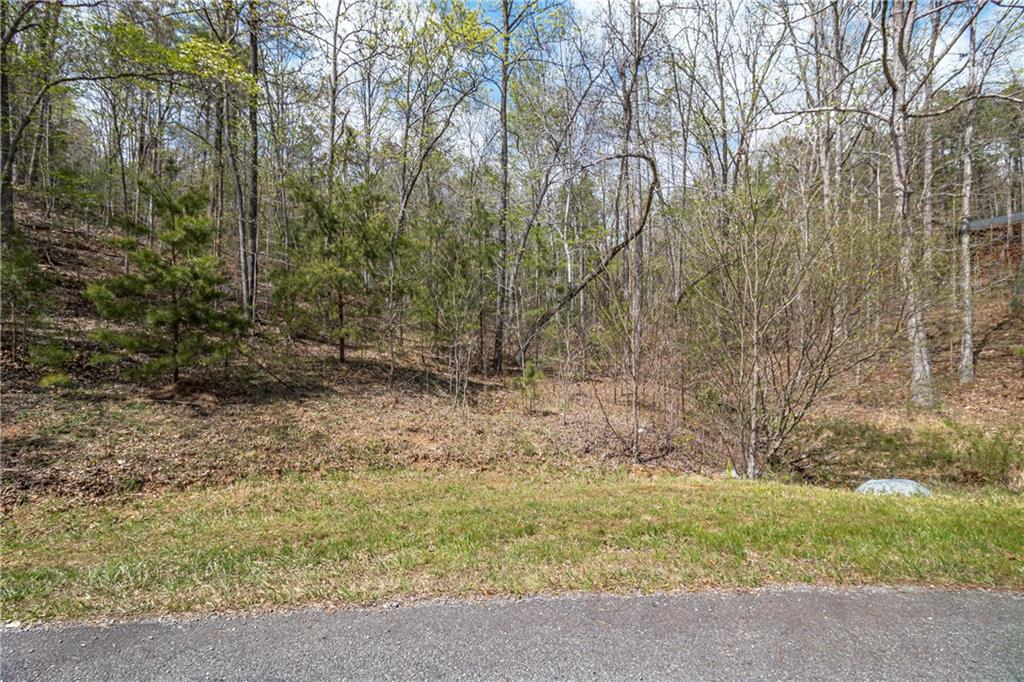 Lot 22 Meadow Brook Trail Morganton, GA 30560 - Photo 29 of 51 a view of basement