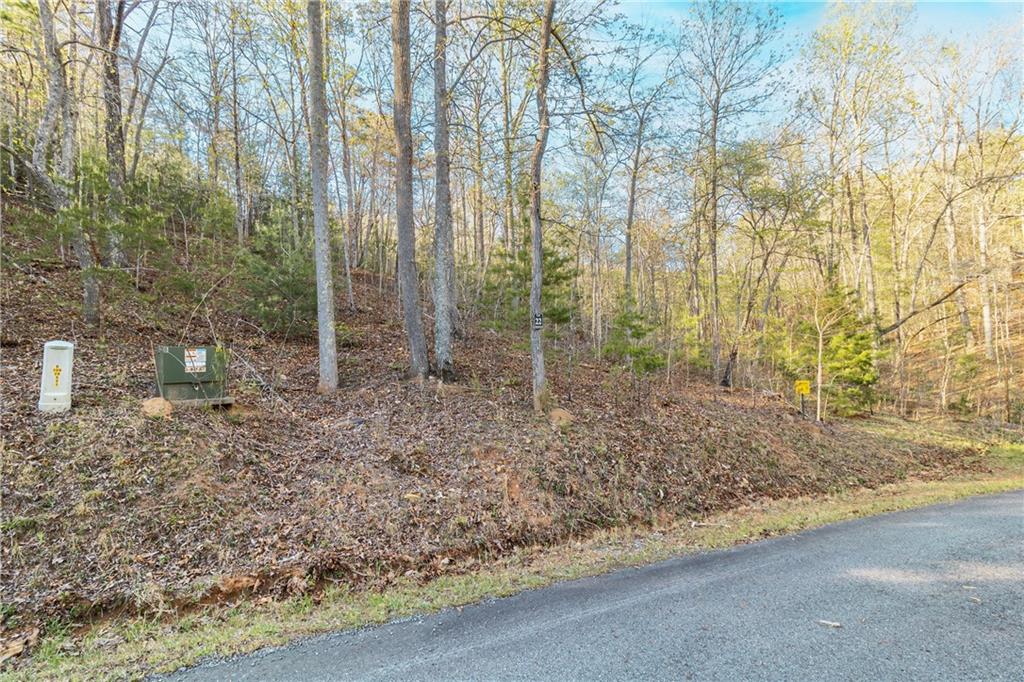 Lot 22 Meadow Brook Trail Morganton, GA 30560 - Photo 32 of 51 a view of a yard with trees