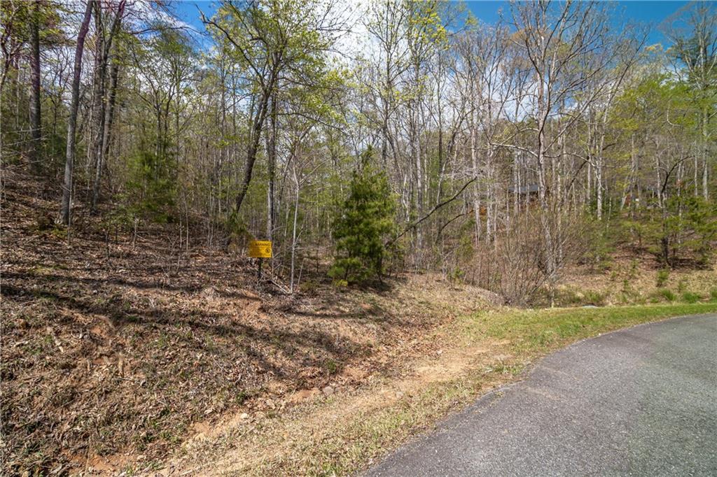 Lot 22 Meadow Brook Trail Morganton, GA 30560 - Photo 33 of 51 a view of outdoor space with trees
