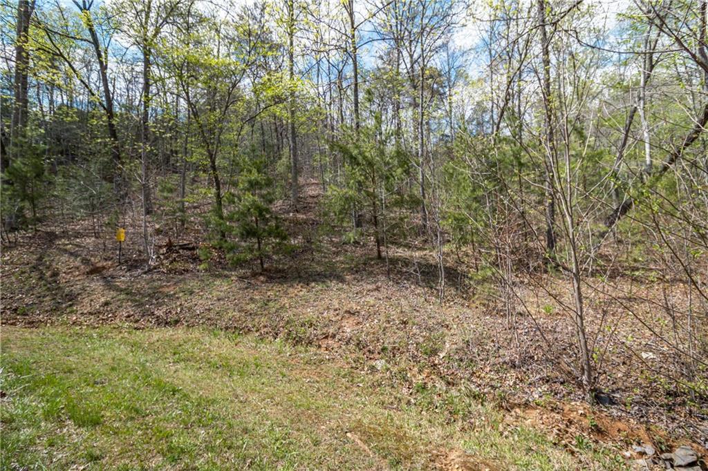 Lot 22 Meadow Brook Trail Morganton, GA 30560 - Photo 34 of 51 a view of a forest with trees in the background