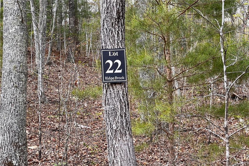 Lot 22 Meadow Brook Trail Morganton, GA 30560 - Photo 36 of 51 a sign that is on the side of a road