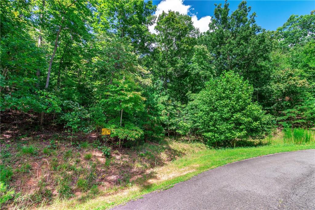 Lot 22 Meadow Brook Trail Morganton, GA 30560 - Photo 4 of 51 a view of a yard with plants and large trees
