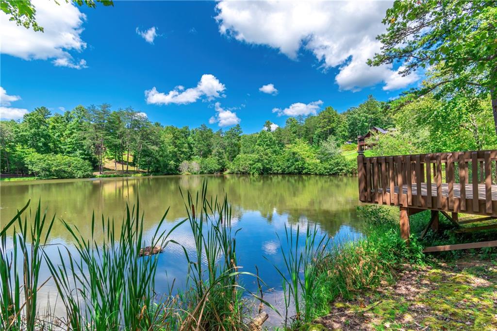 Lot 22 Meadow Brook Trail Morganton, GA 30560 - Photo 44 of 51 a view of a lake with a garden