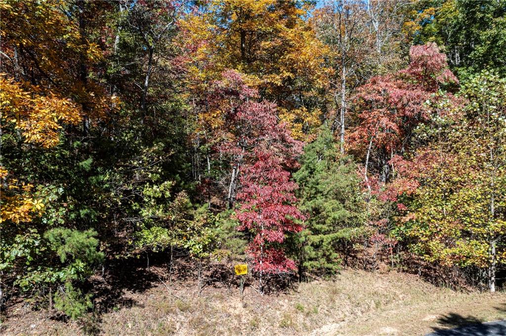 Lot 22 Meadow Brook Trail Morganton, GA 30560 - Photo 5 of 51 a view of a yard with plants