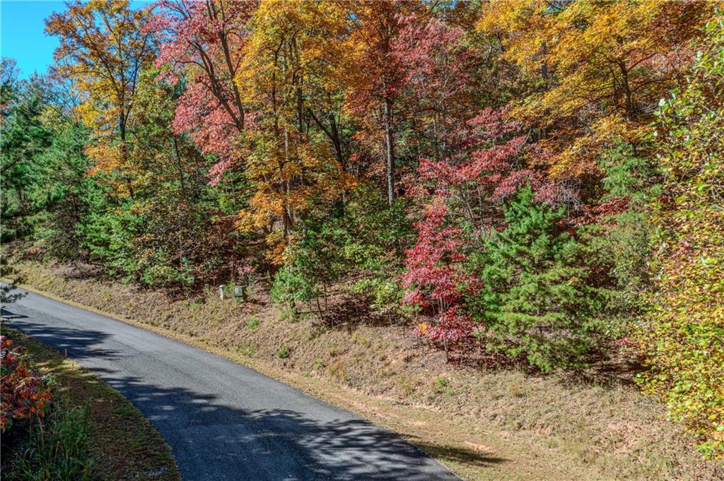 Lot 22 Meadow Brook Trail Morganton, GA 30560 - Photo 6 of 51 a view of a yard with a tree