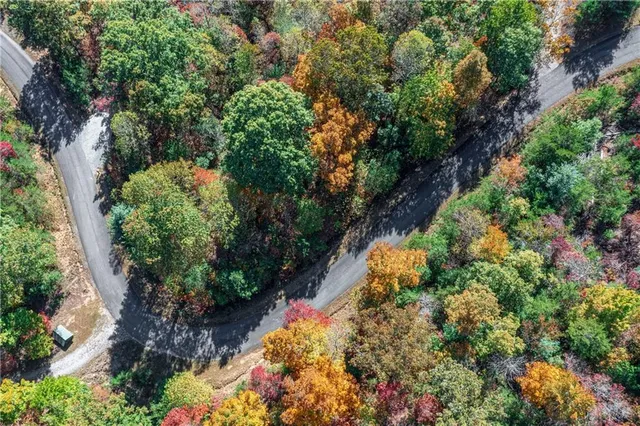 a view of a garden with plants