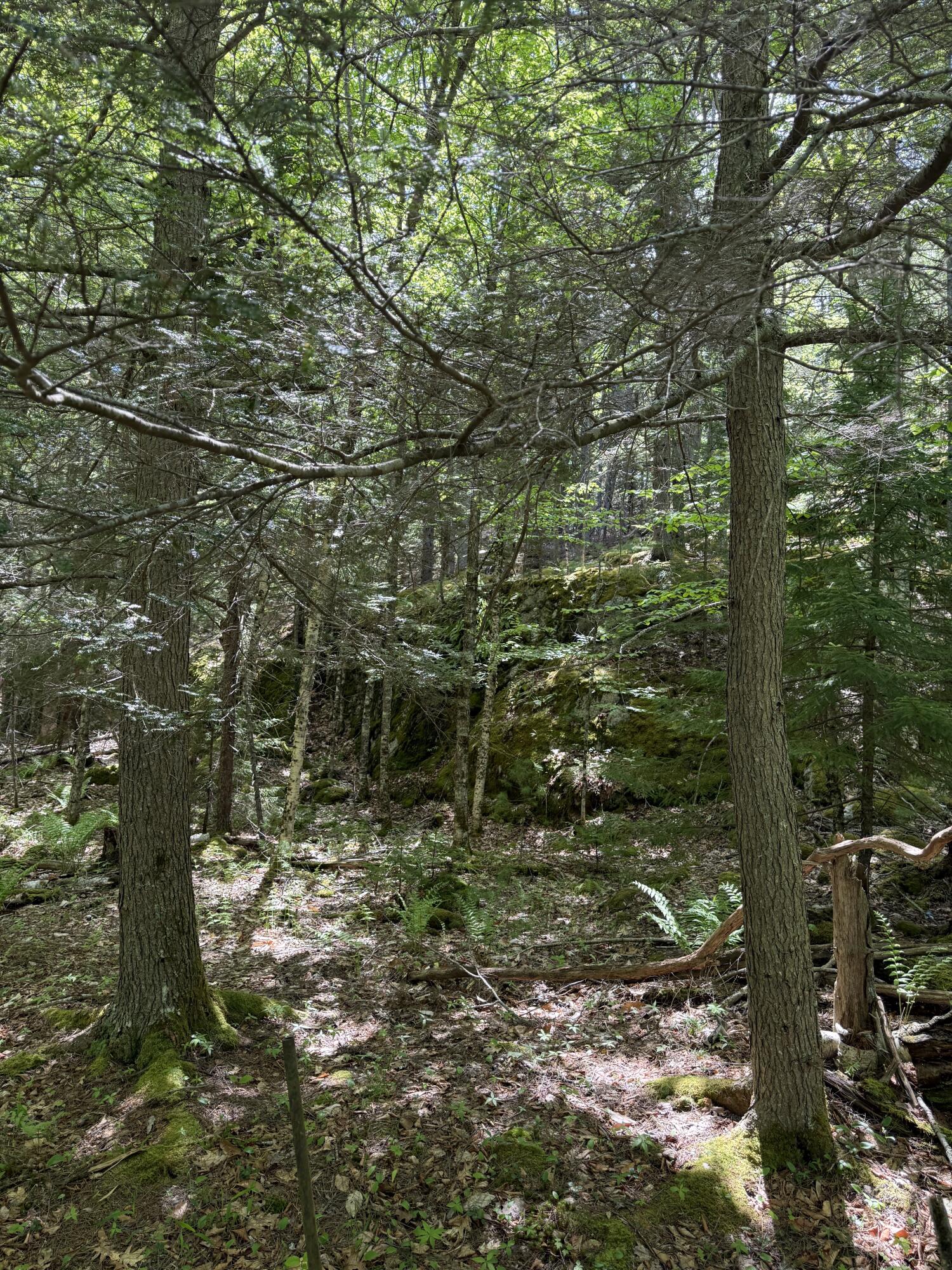 63 Sebasco Road Phippsburg, ME 04562 - Photo 5 of 14 IMG_2514 3