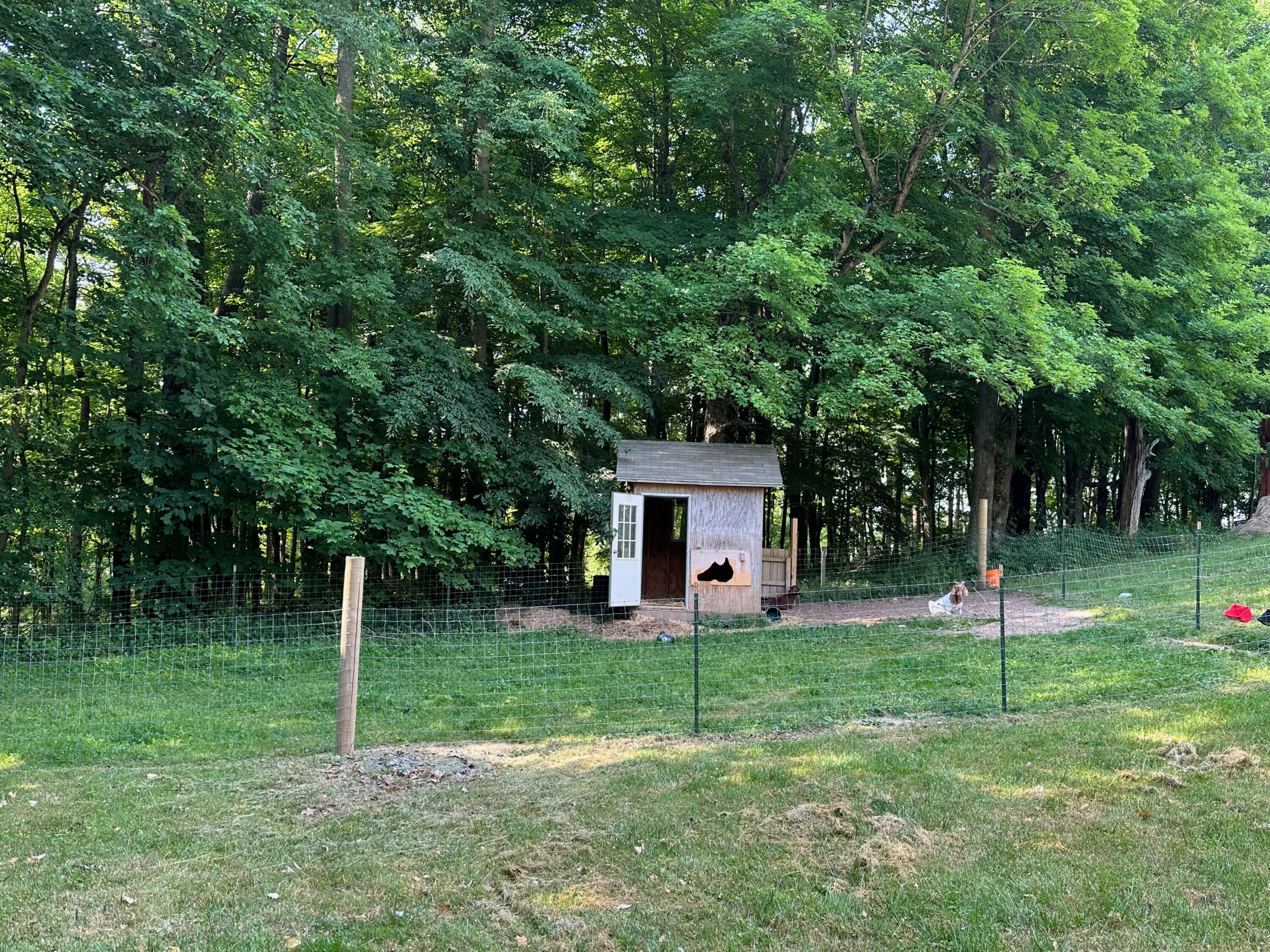 19360 Hampshire Road Utica, OH 43080 - Photo 35 of 35 IMG_5352