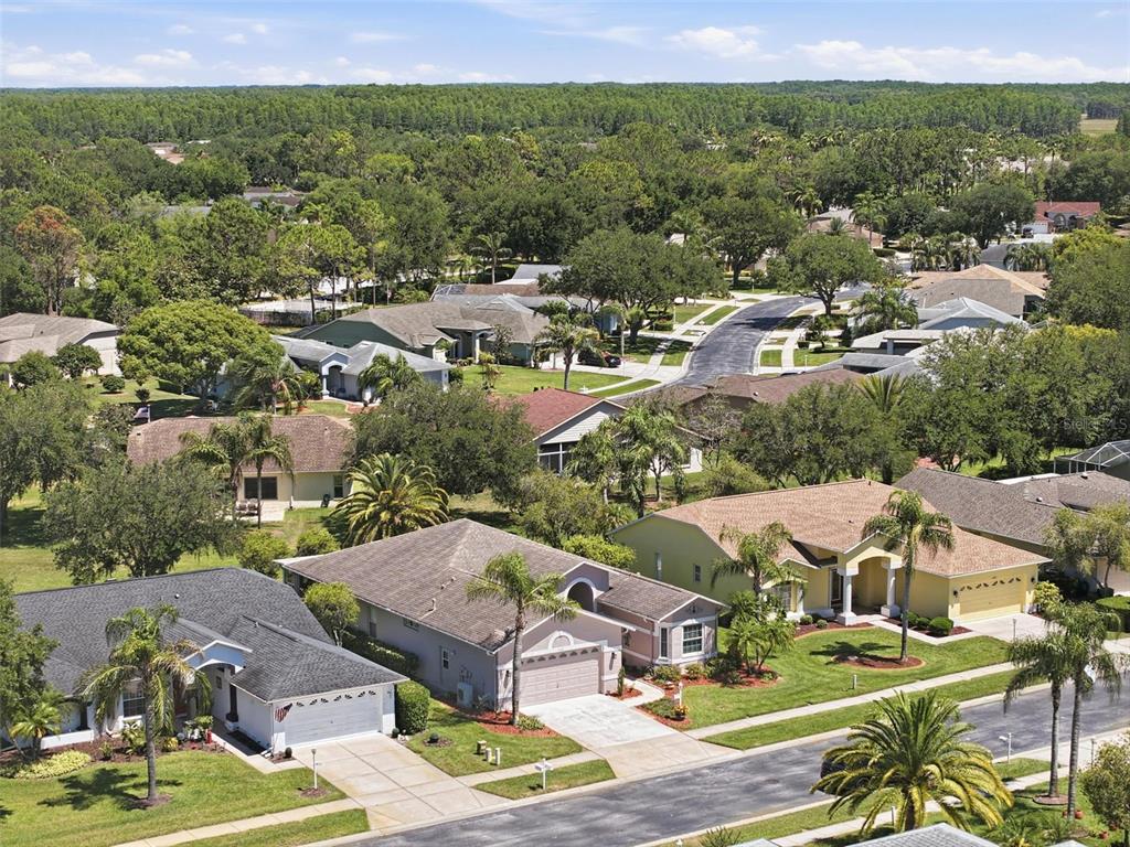 1430 Canberley Court Trinity, FL 34655 - Photo 48 of 66