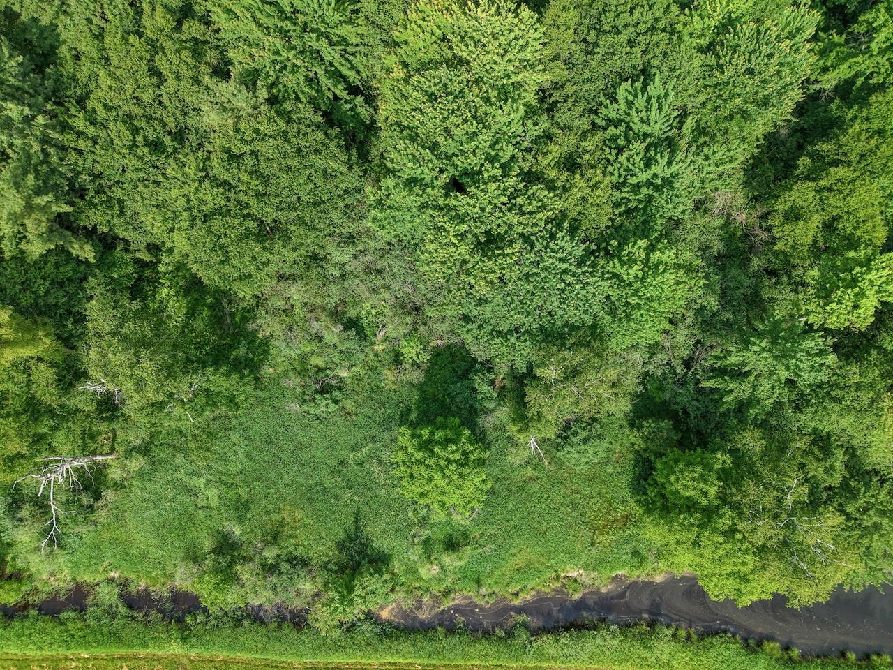 0 Highway 12 Tomah, WI 54660 - Photo 7 of 24