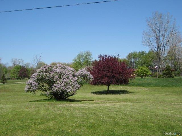 3611 Lansing Road Bancroft, MI 48414 - Photo 3 of 10 back yard