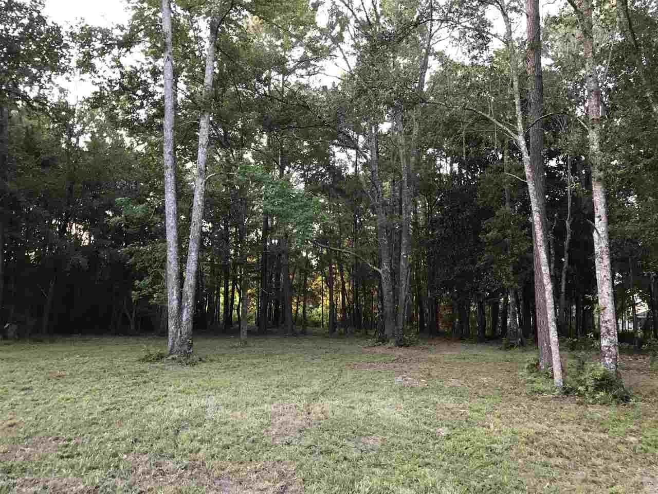 1 Styx River Road Stapleton, AL 36578 - Photo 5 of 11