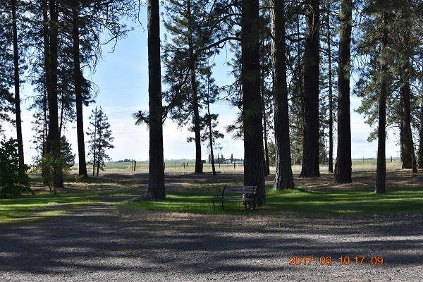 23309 West Thorpe Road Medical Lake, WA 99022 - Photo 18 of 20