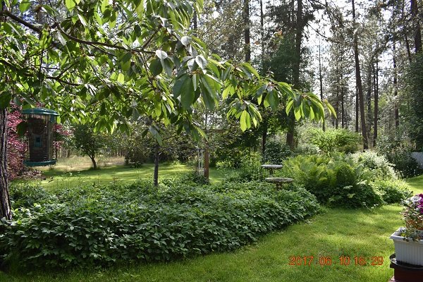 23309 West Thorpe Road Medical Lake, WA 99022 - Photo 4 of 20
