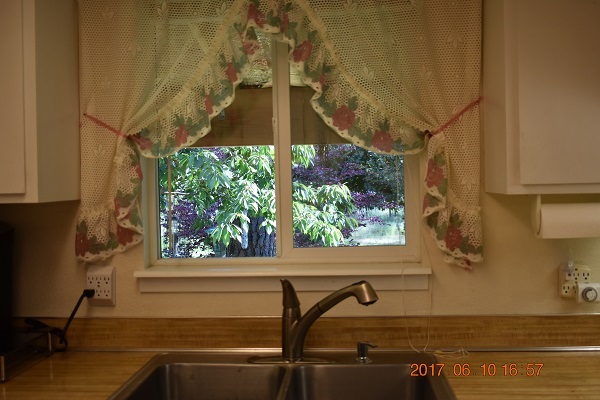 23309 West Thorpe Road Medical Lake, WA 99022 - Photo 9 of 20