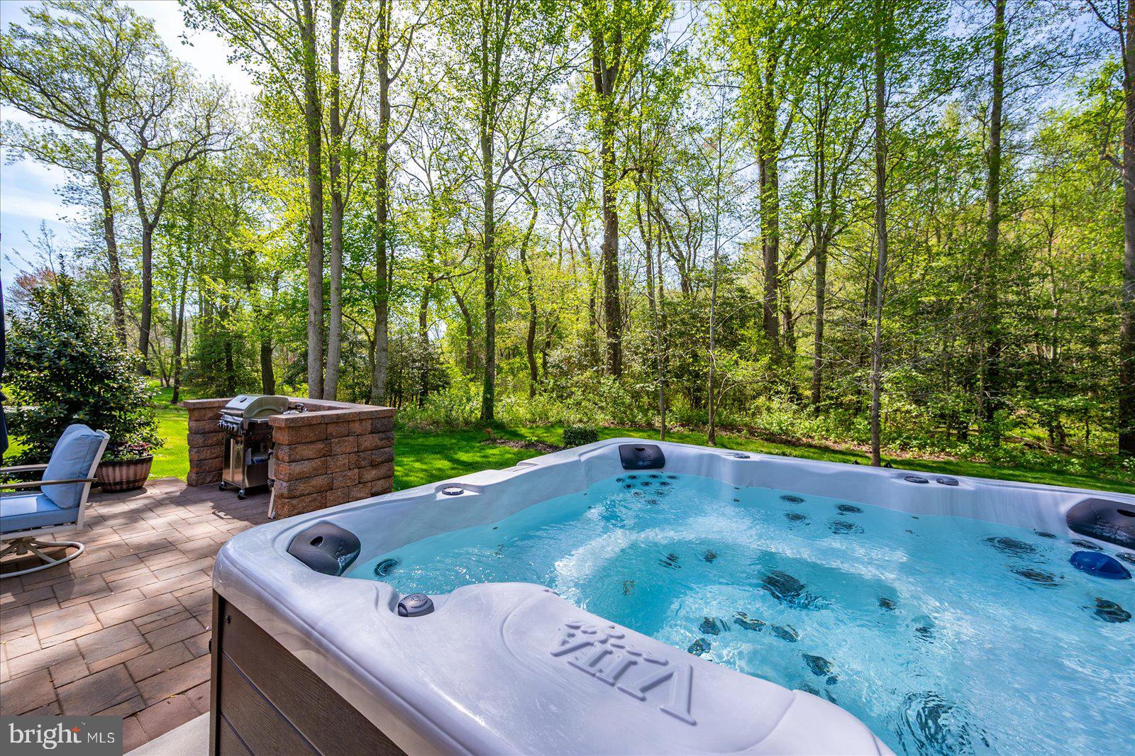 30561 Silverton Road Frankford, DE 19945 - Photo 9 of 54 Hot tub conveys
