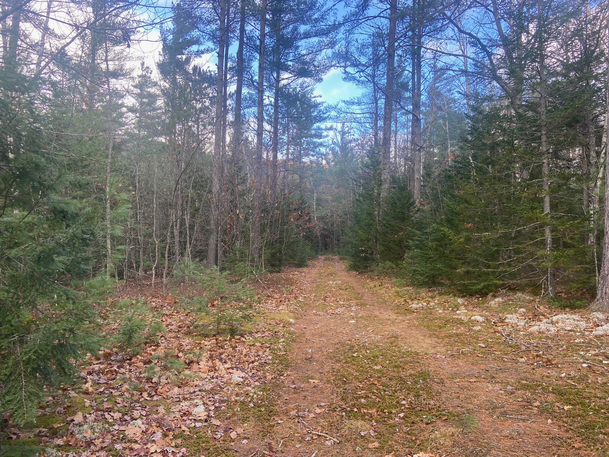 Lot 3 Mt Tumbledown Road Bethel, ME 04217 - Photo 14 of 18 IMG_4518