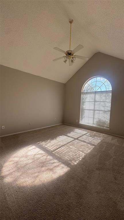 7833 Lancelot Road Frisco, TX 75035 - Photo 15 of 23