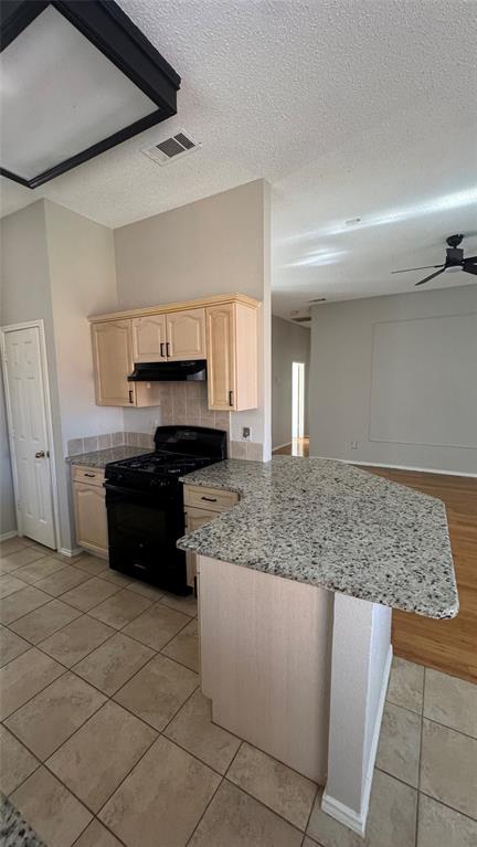 7833 Lancelot Road Frisco, TX 75035 - Photo 9 of 23