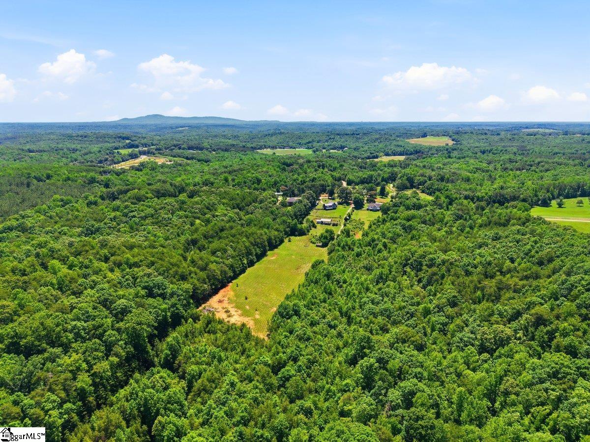 619 Little Pond Road Easley, SC 29640 - Photo 43 of 47