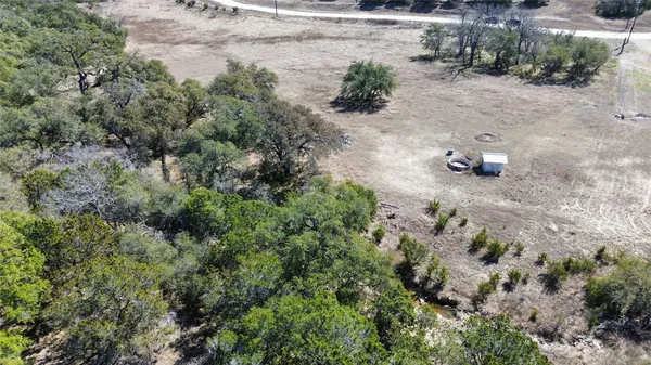 a view of a dry yard with trees and plants