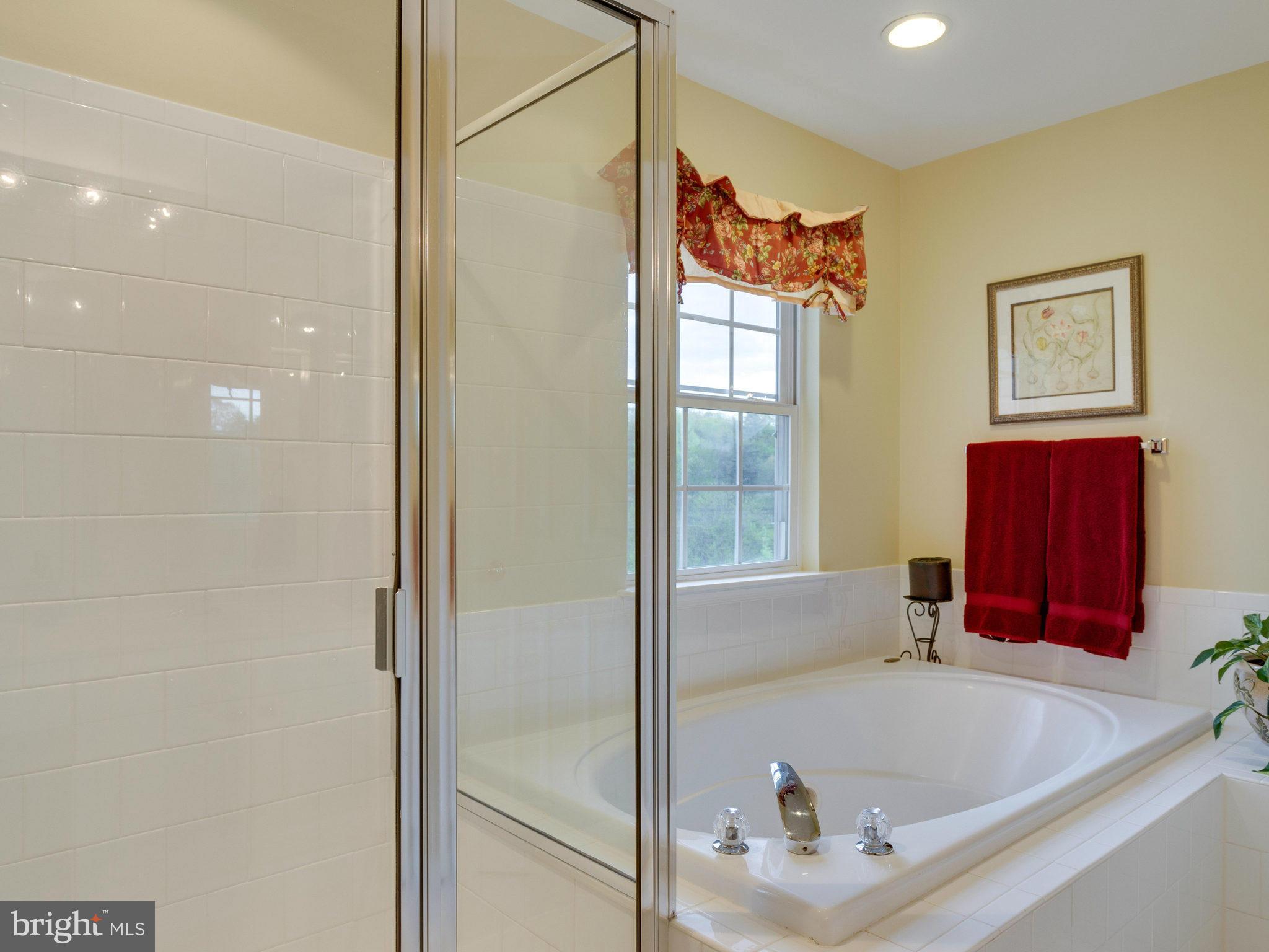 6087 Deer Ridge Trail Springfield, VA 22150 - Photo 20 of 30 Bath (Master)