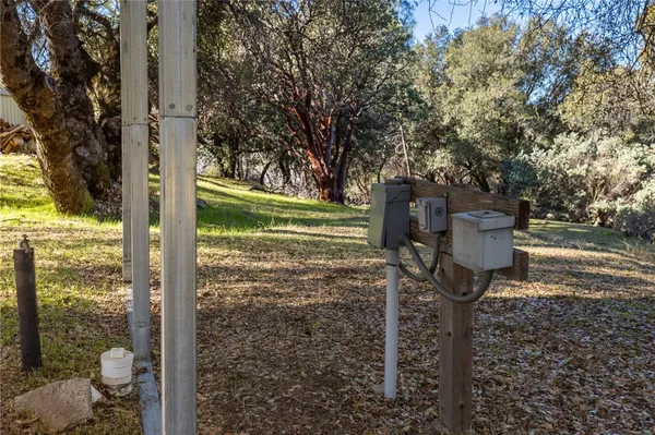 a view of a forest with trees all around