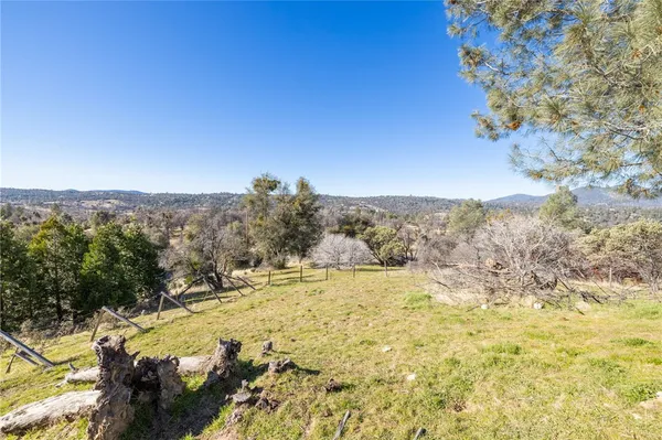 a backyard of a house with large trees