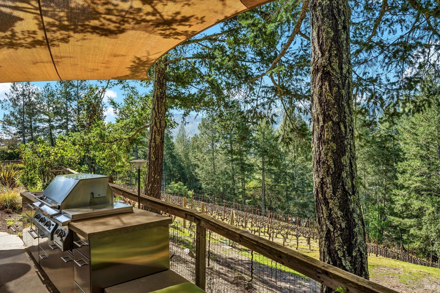 511 Kortum Canyon Road Calistoga, CA 94515 - Photo 59 of 87