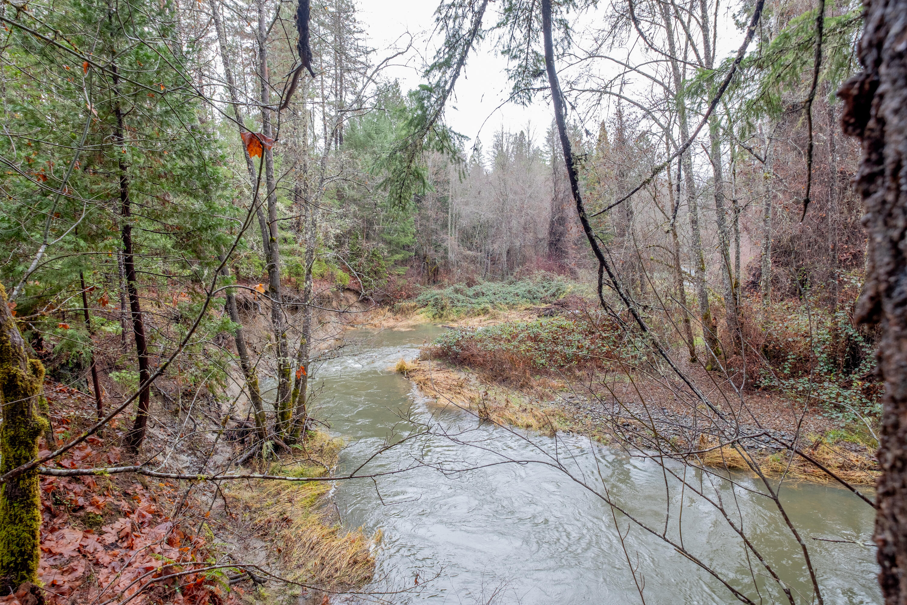 Pleasant Creek Road, Unit 122 Rogue River, OR 97537 - Photo 1 of 9 Lot 4 (1)
