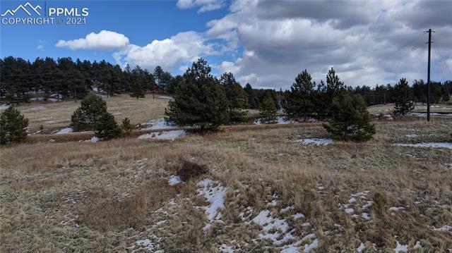 297 High Pasture Road Florissant, CO 80816 - Photo 14 of 23 Less than 1 hour to Colorado Springs