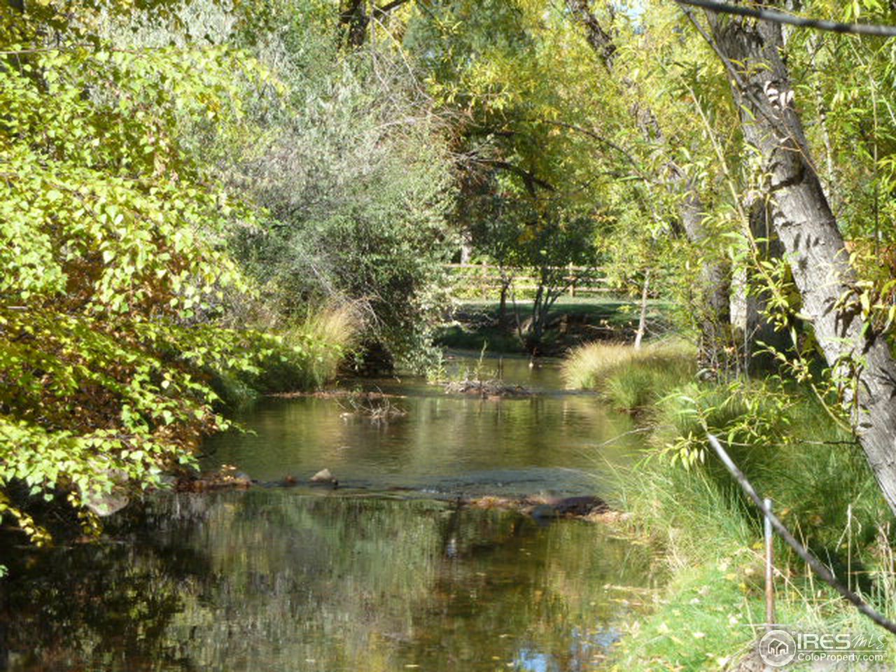841 Gapter Road Boulder, CO 80303 - Photo 5 of 25 creek (looking north)