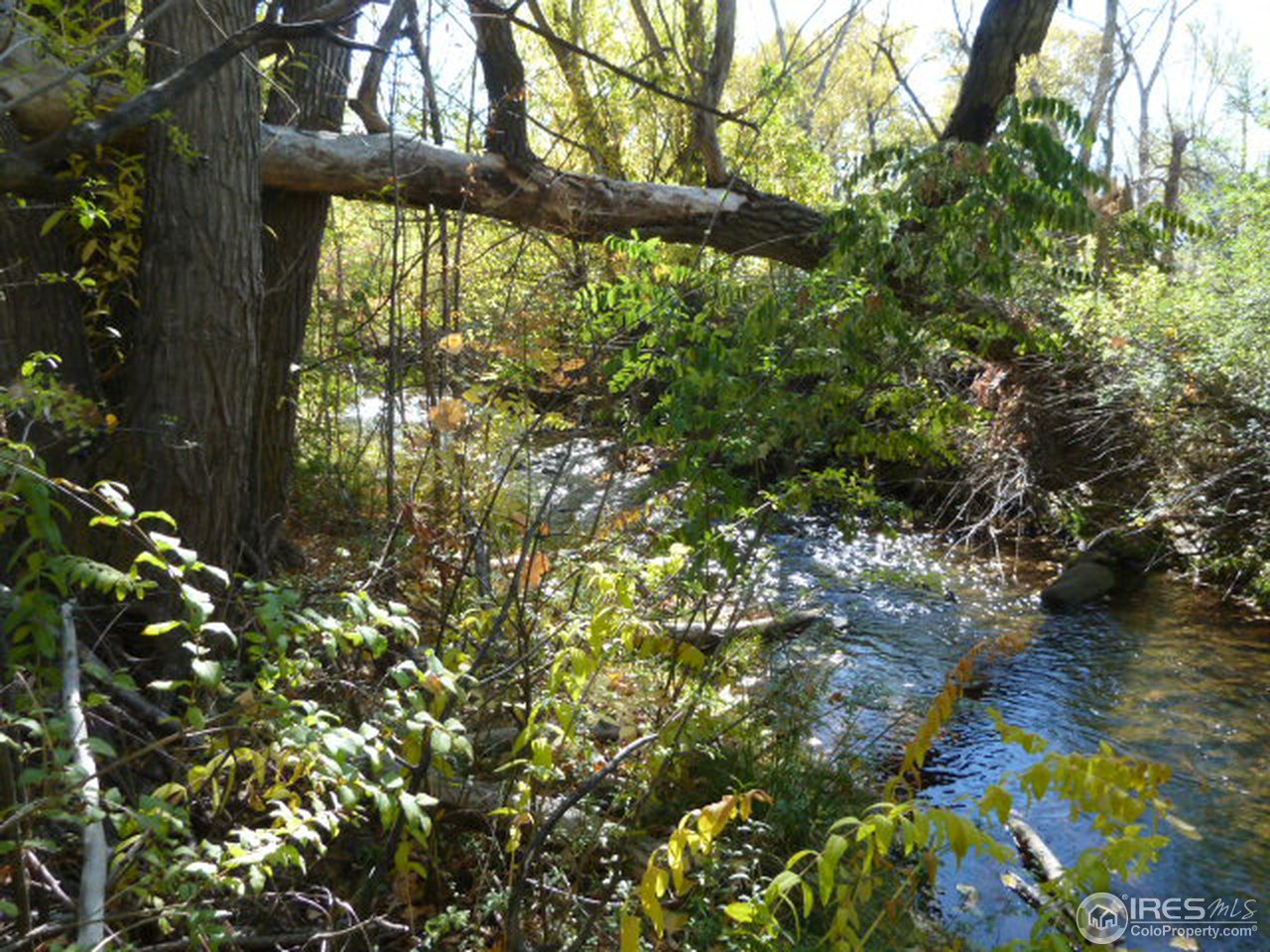 841 Gapter Road Boulder, CO 80303 - Photo 7 of 25 creek (looking south)