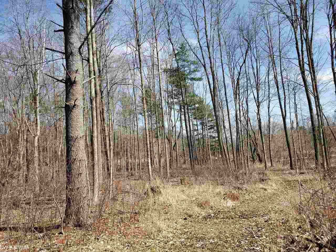 Vl Vl Brown Road, Unit CREEKS Avoca, MI 48006 - Photo 7 of 10