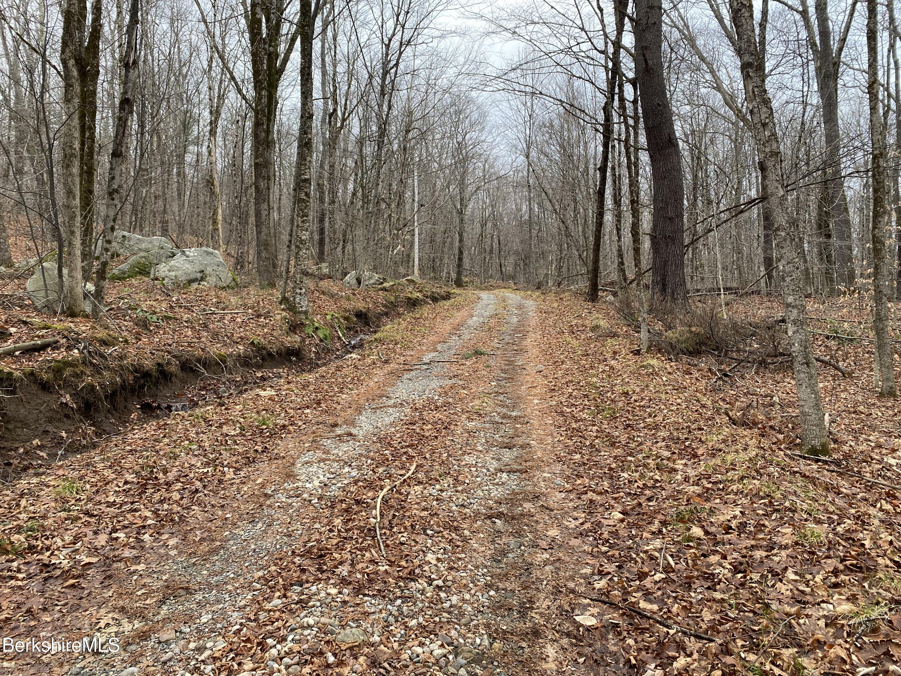 Lot 69-70 West Center Road Otis, MA 01253 - Photo 3 of 11 IMG_7484