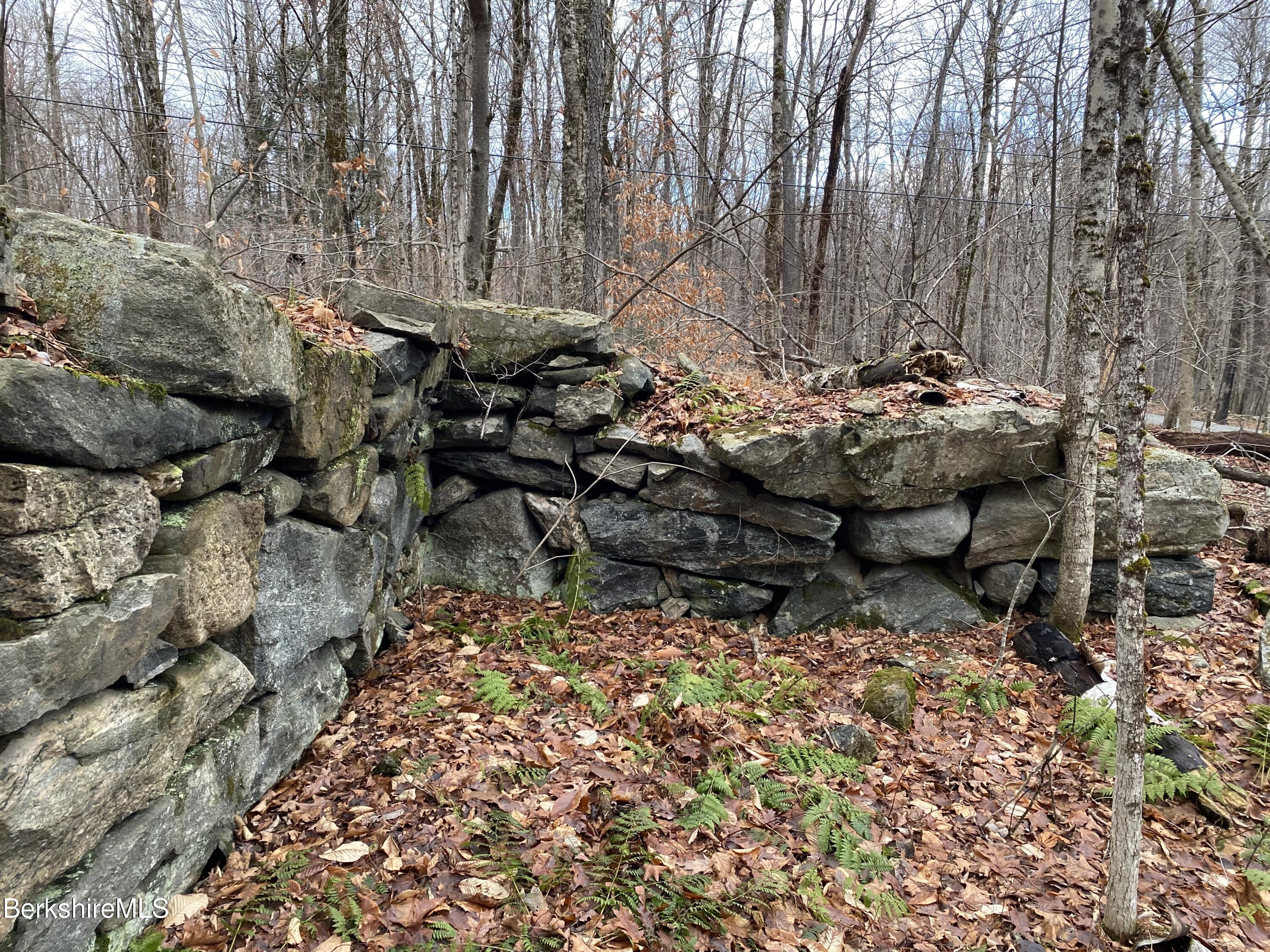 Lot 69-70 West Center Road Otis, MA 01253 - Photo 5 of 11 IMG_7494