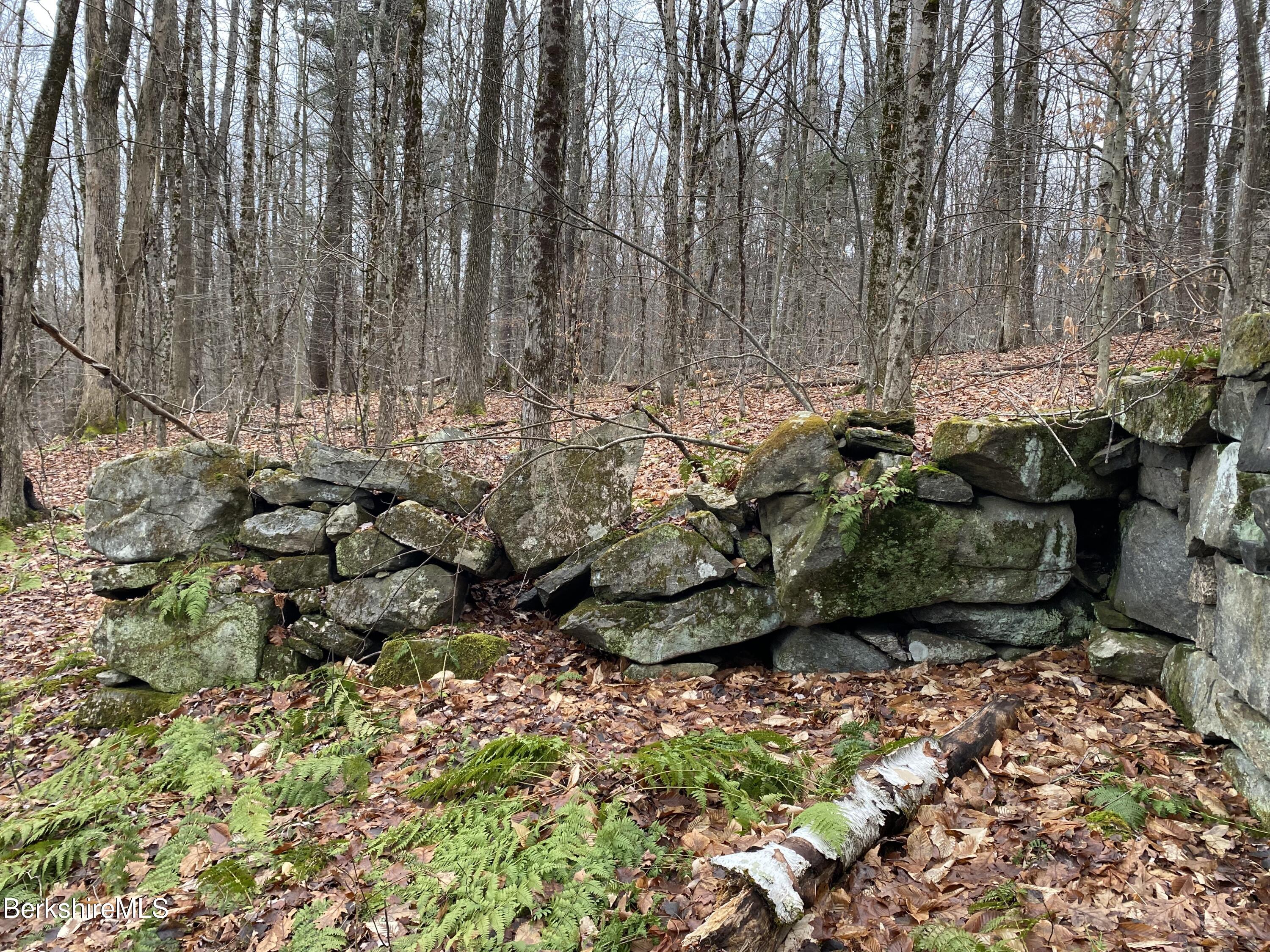 Lot 69-70 West Center Road Otis, MA 01253 - Photo 6 of 11 IMG_7495
