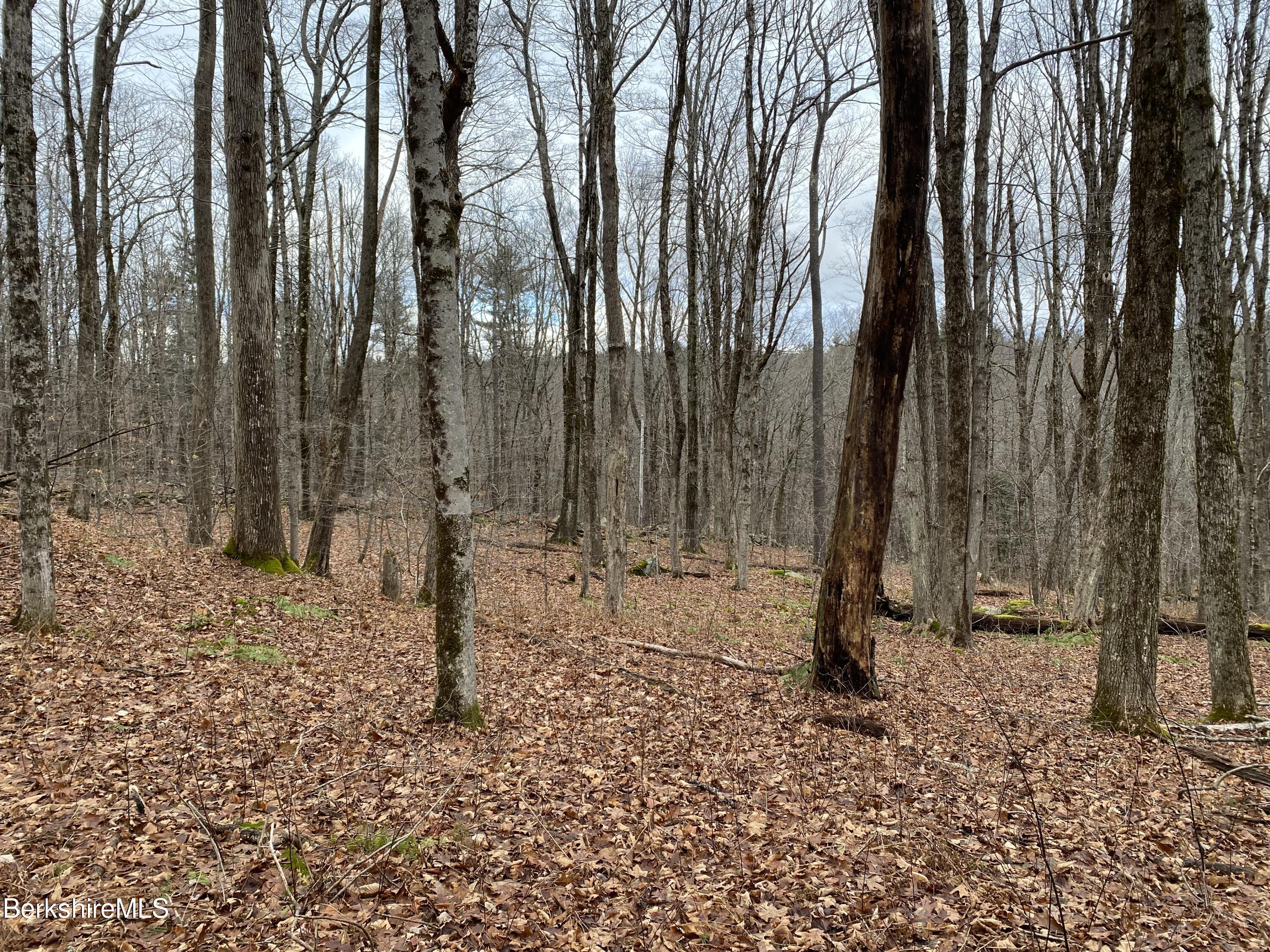 Lot 69-70 West Center Road Otis, MA 01253 - Photo 8 of 11 IMG_7486