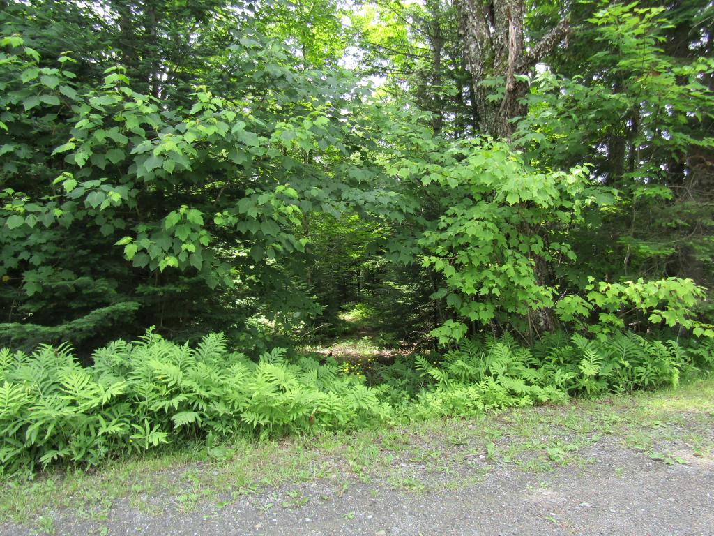 78 Merrill Road Pittsburg, NH 03592 - Photo 25 of 25