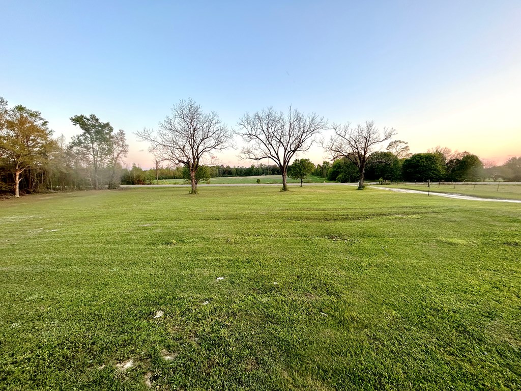355 Billy Snell Road Dothan, AL 36301 - Photo 28 of 42