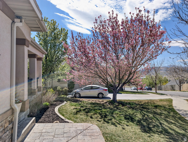 4344 Peppercorn Road North Lehi, UT 84048 - Photo 4 of 55