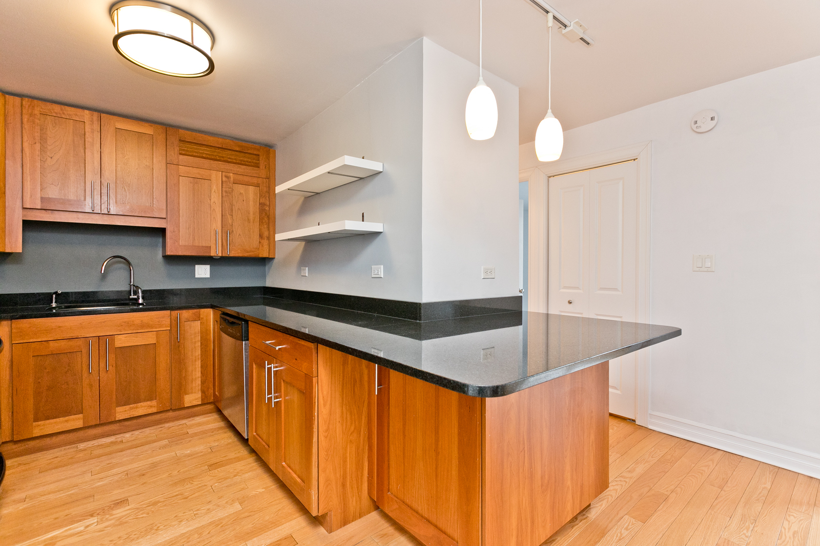 3033 North Sheridan Road, Unit 904 Chicago, IL 60657 - Photo 3 of 9