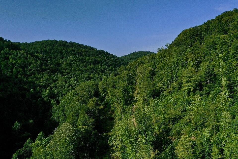 0 Oscar Wagers Road Manchester, KY 40962 - Photo 20 of 57 IMG_6918