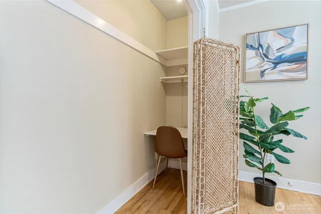 a view of a flower pot