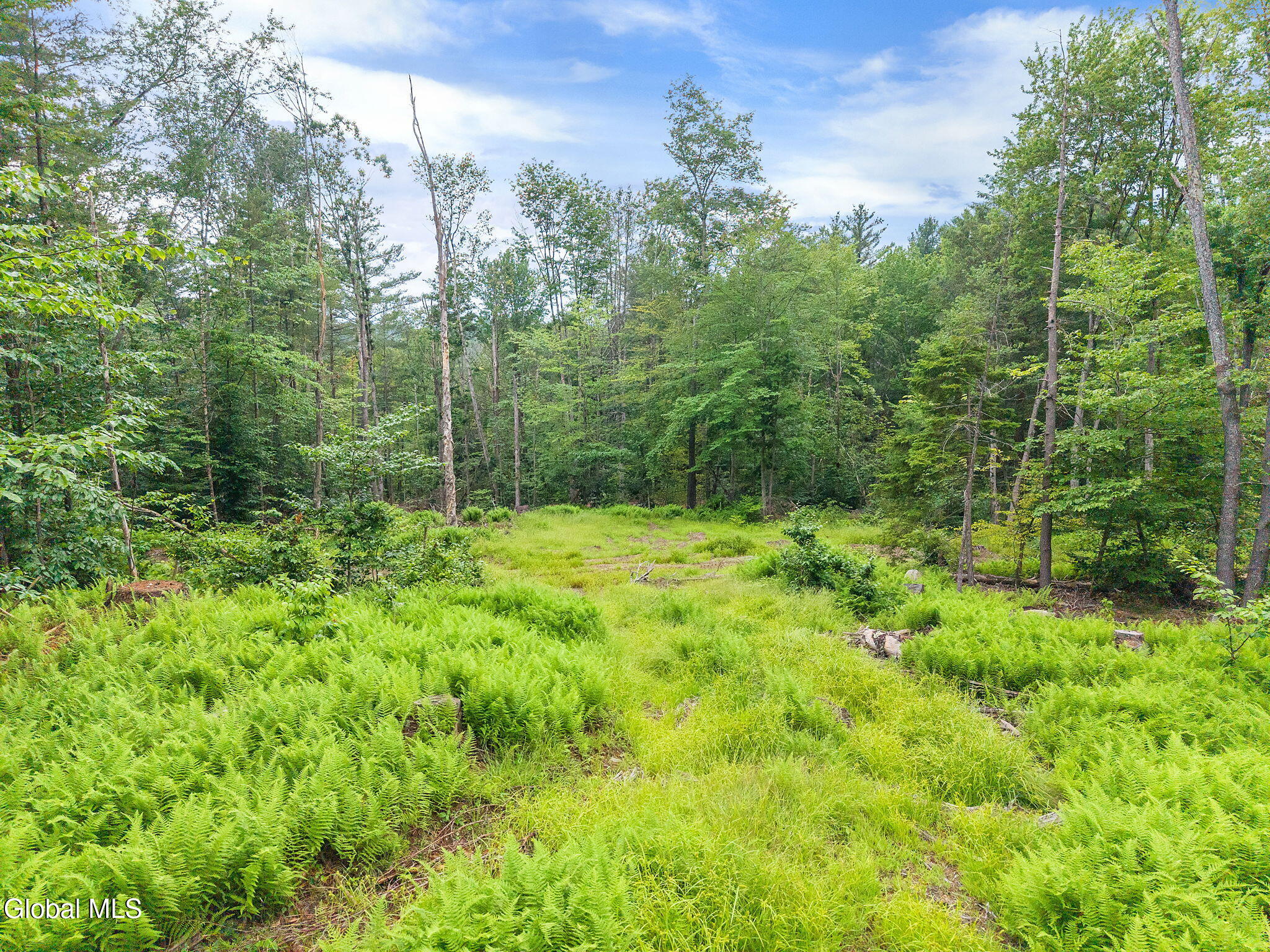 577 Black River Road Stephentown, NY 12169 - Photo 13 of 38 13-577BlackRiverRd_13